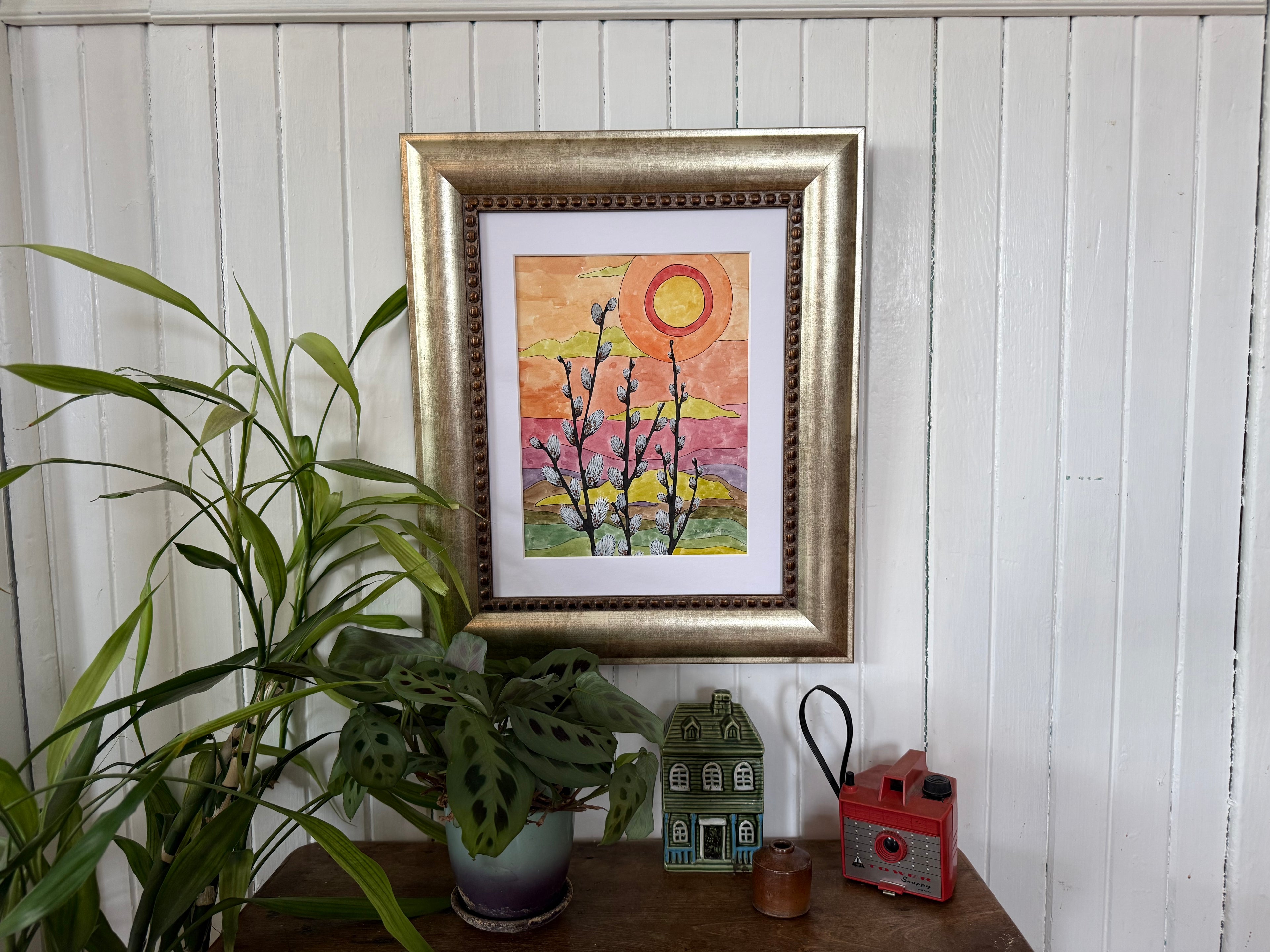 Pussy Willows at Sunset