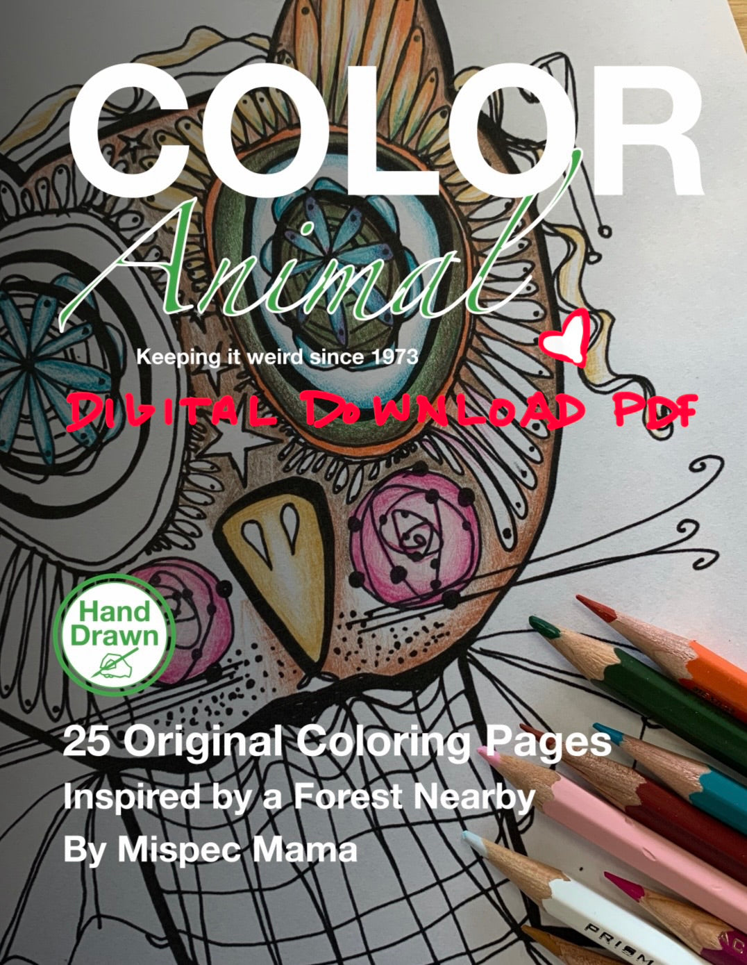Color Animals Ebook, Coloring Book PDF, Digital Download