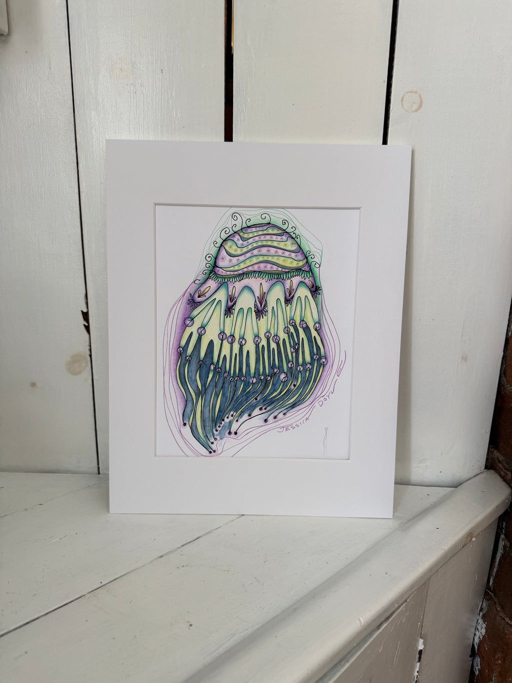 Jellyfish