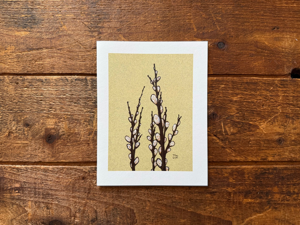 Pussy Willows #4