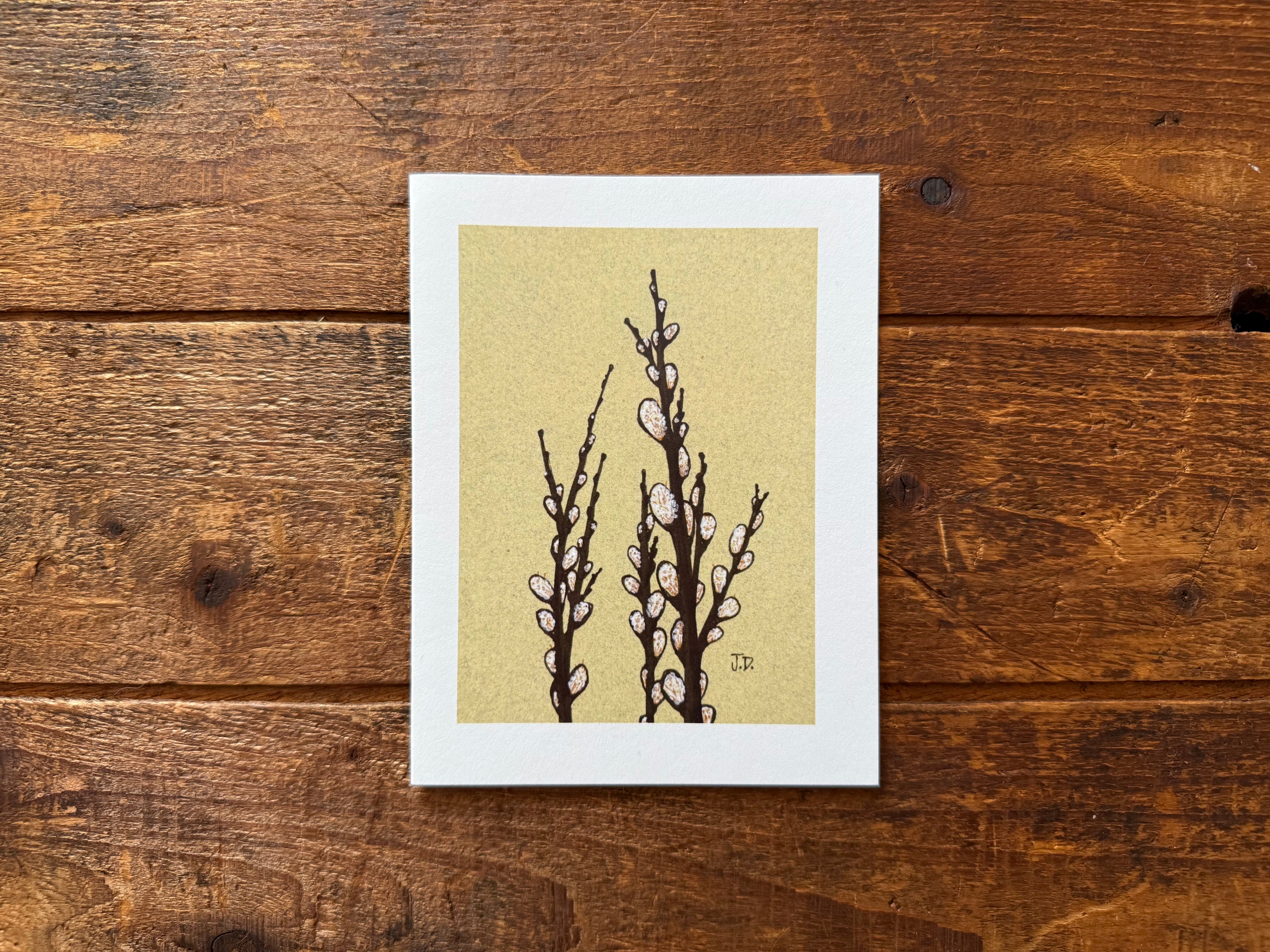 Pussy Willows #4