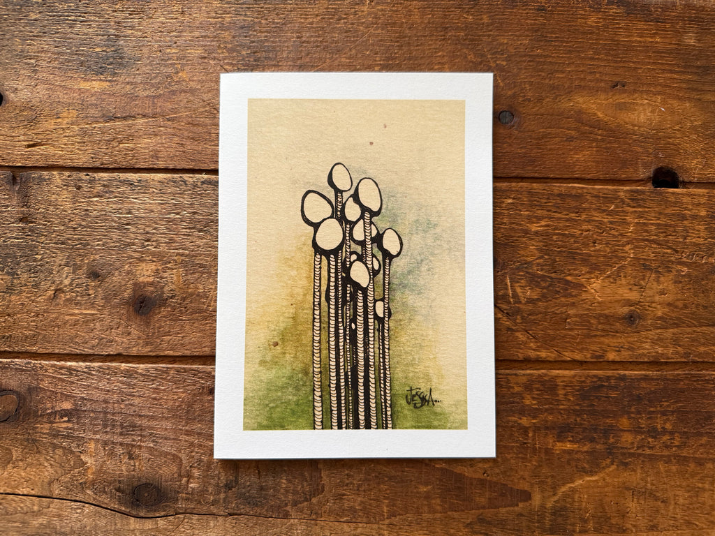 Enokitake Mushrooms