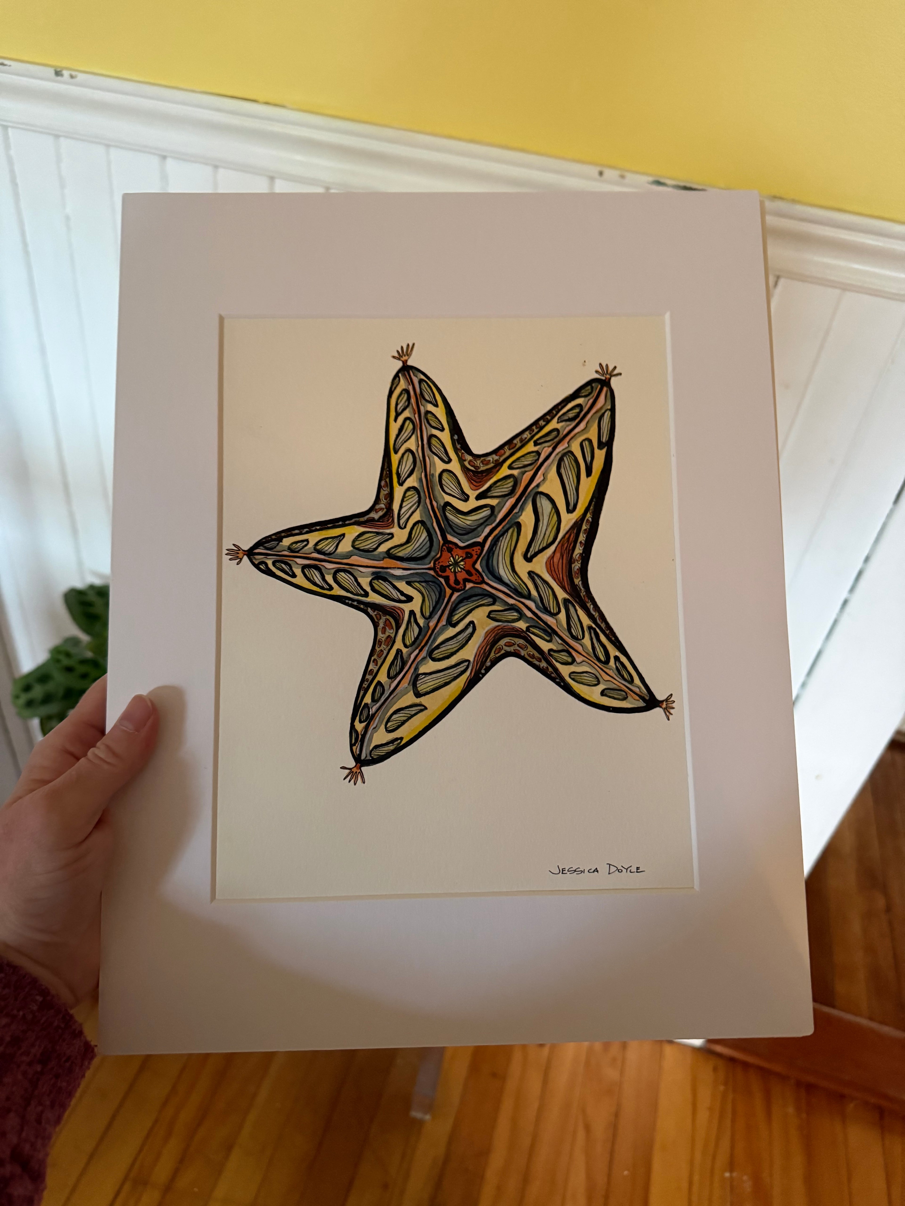 Starfish