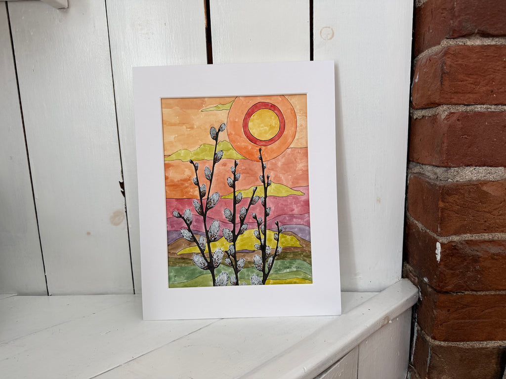 Pussy Willows at Sunset