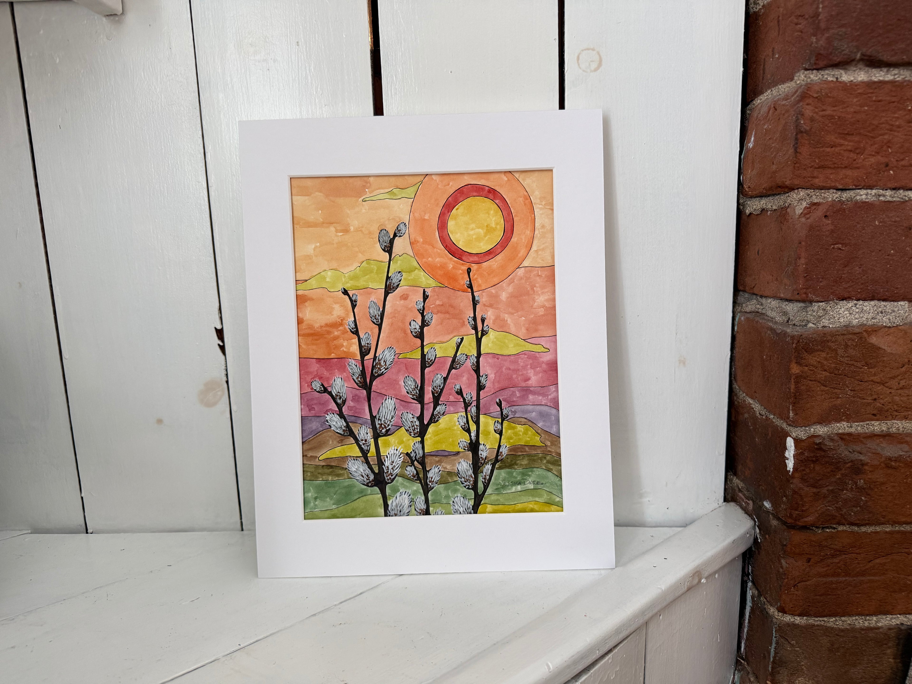 Pussy Willows at Sunset