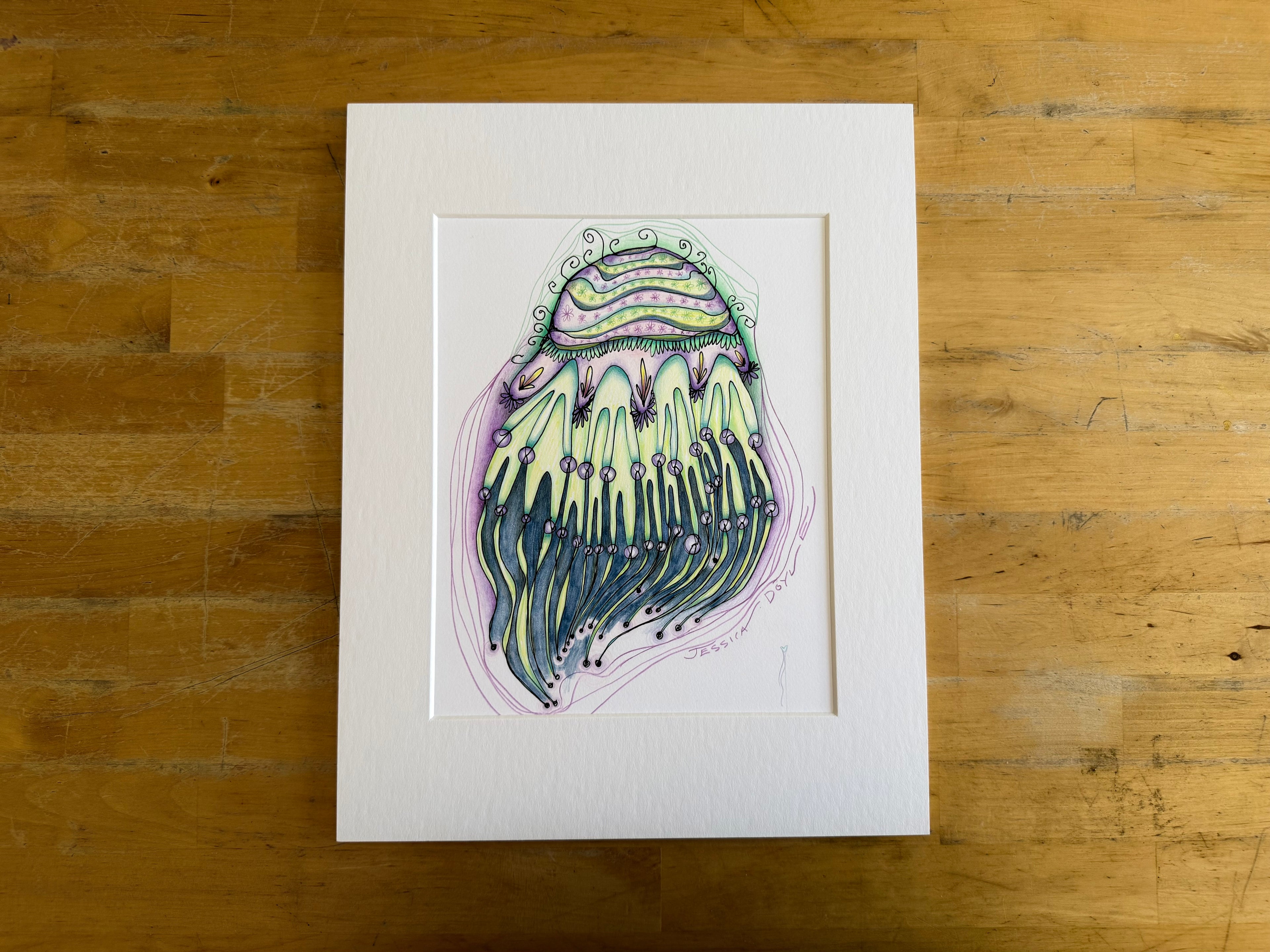 Jellyfish