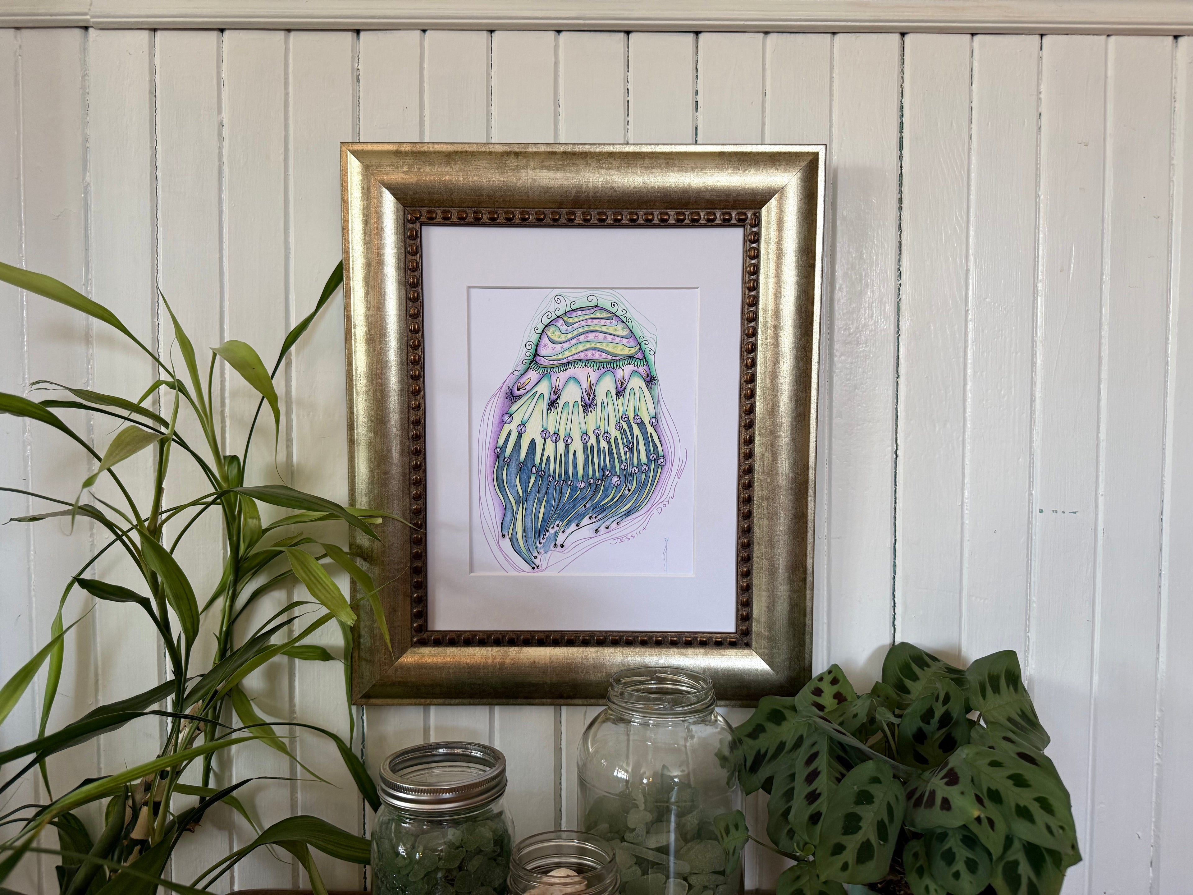 Jellyfish