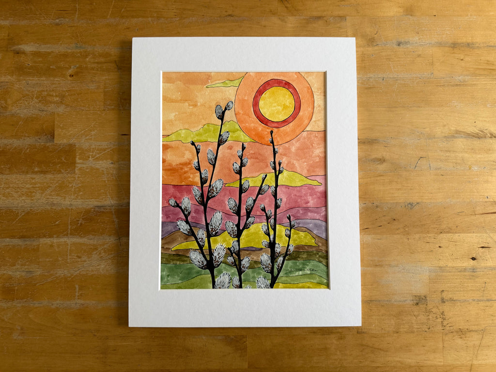 Pussy Willows at Sunset