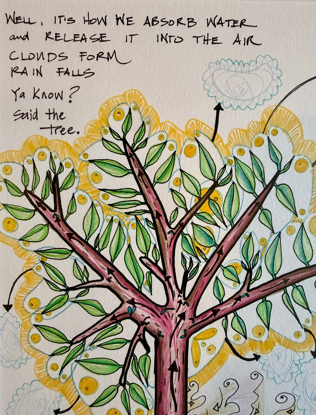 The Process of Life