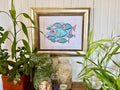 The Cook Family of Fish