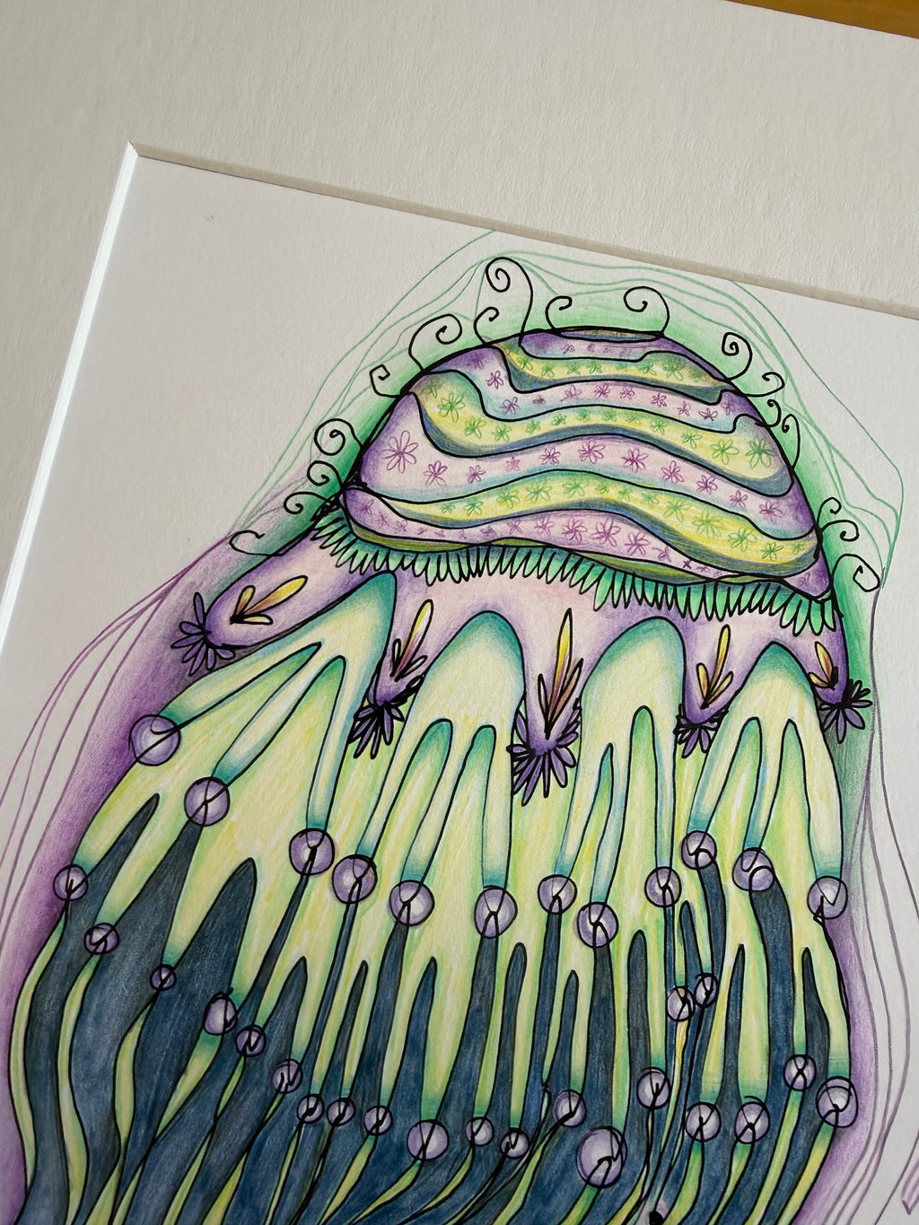Jellyfish