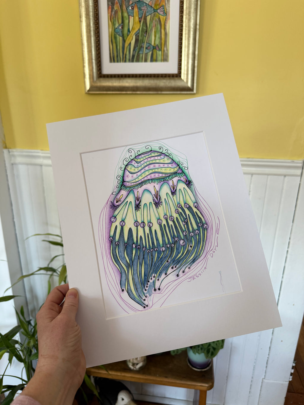 Jellyfish